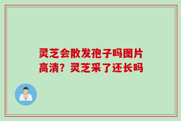 灵芝会散发孢子吗图片高清？灵芝采了还长吗