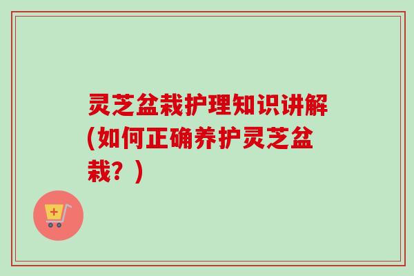 灵芝盆栽护理知识讲解(如何正确养护灵芝盆栽？)