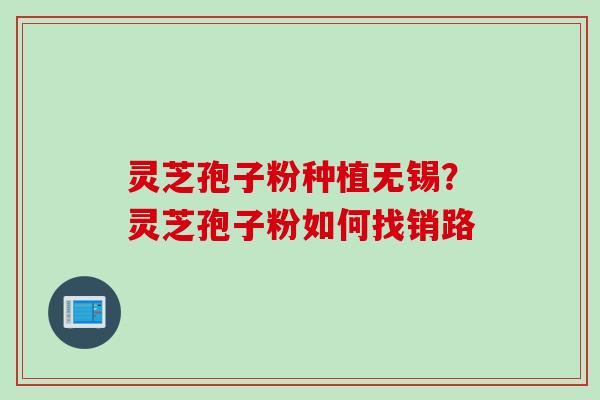 灵芝孢子粉种植无锡？灵芝孢子粉如何找销路