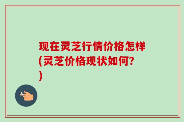 现在灵芝行情价格怎样(灵芝价格现状如何？)