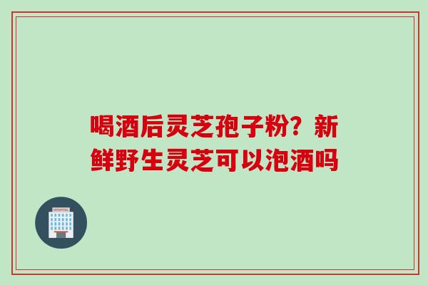 喝酒后灵芝孢子粉？新鲜野生灵芝可以泡酒吗