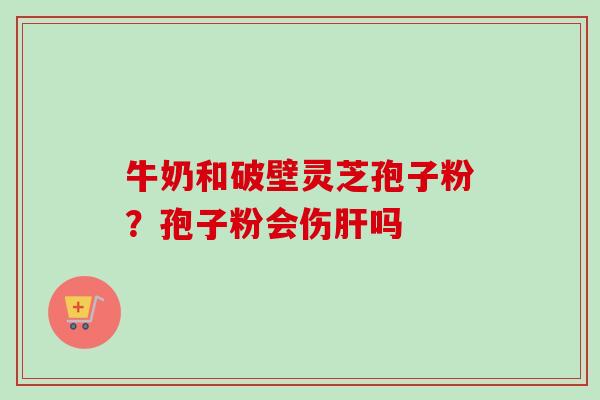 牛奶和破壁灵芝孢子粉？孢子粉会伤肝吗