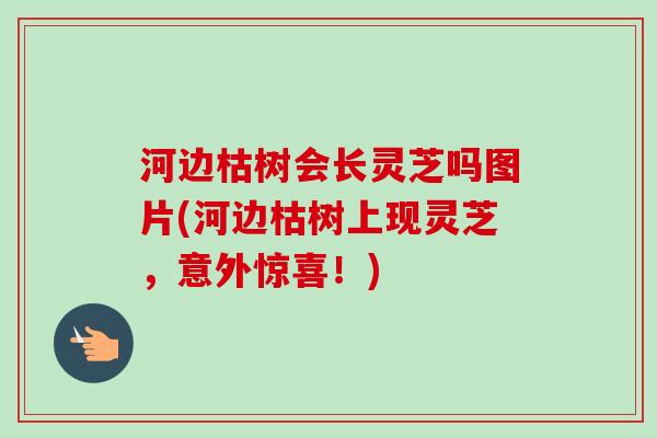 河边枯树会长灵芝吗图片(河边枯树上现灵芝,意外惊喜!) 河边枯树会长灵芝吗图片(河边枯树上现灵芝,意外惊喜!)