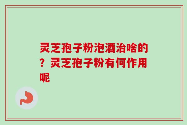 灵芝孢子粉泡酒治啥的？灵芝孢子粉有何作用呢