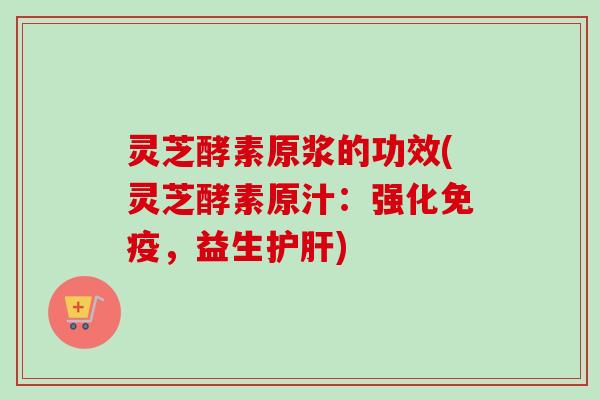 灵芝酵素原浆的功效(灵芝酵素原汁：强化免疫，益生护肝)