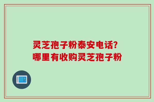 灵芝孢子粉泰安电话?哪里有收购灵芝孢子粉 灵芝孢子粉泰安电话?哪里有收购灵芝孢子粉