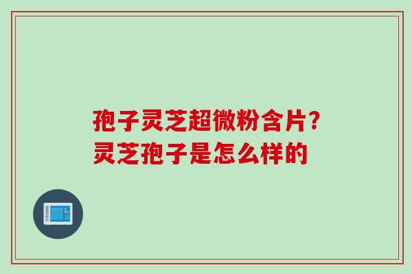 孢子灵芝超微粉含片？灵芝孢子是怎么样的