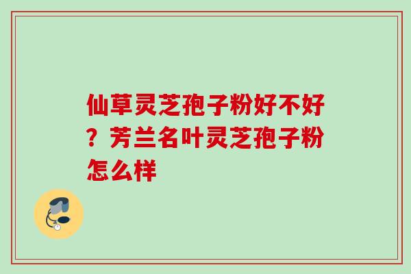 仙草灵芝孢子粉好不好？芳兰名叶灵芝孢子粉怎么样