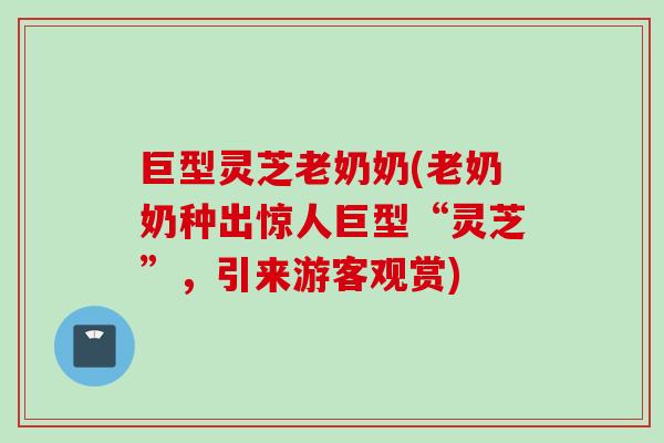巨型灵芝老奶奶(老奶奶种出惊人巨型“灵芝”，引来游客观赏)