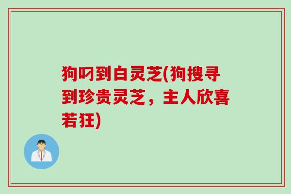 狗叼到白灵芝(狗搜寻到珍贵灵芝，主人欣喜若狂)