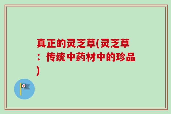 真正的灵芝草(灵芝草：传统中药材中的珍品)