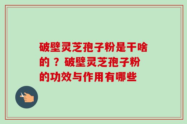 破壁灵芝孢子粉是干啥的 ？破壁灵芝孢子粉的功效与作用有哪些