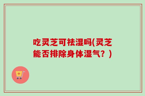 吃灵芝可祛湿吗(灵芝能否排除身体湿气？)