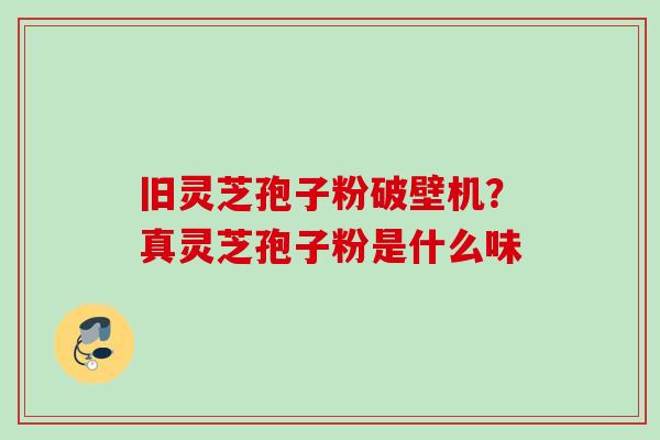 旧灵芝孢子粉破壁机？真灵芝孢子粉是什么味
