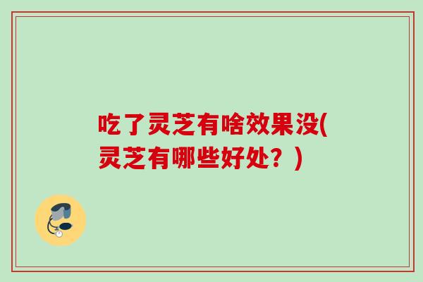 吃了灵芝有啥效果没(灵芝有哪些好处?) 吃了灵芝有啥效果没(灵芝有哪些好处?)