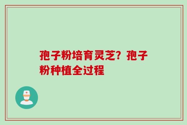 孢子粉培育灵芝？孢子粉种植全过程
