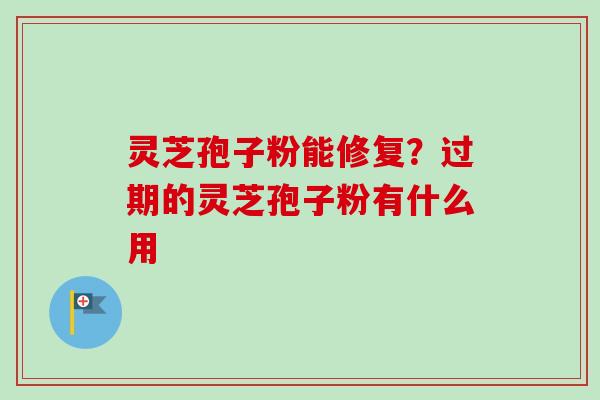 灵芝孢子粉能修复？过期的灵芝孢子粉有什么用