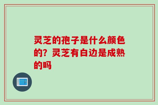 灵芝的孢子是什么颜色的？灵芝有白边是成熟的吗