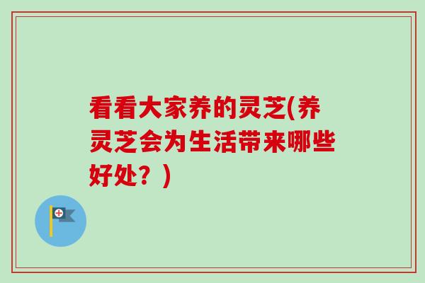 看看大家养的灵芝(养灵芝会为生活带来哪些好处？)