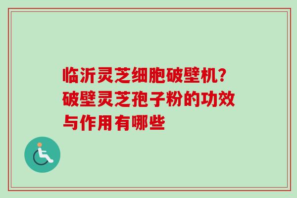 临沂灵芝细胞破壁机？破壁灵芝孢子粉的功效与作用有哪些