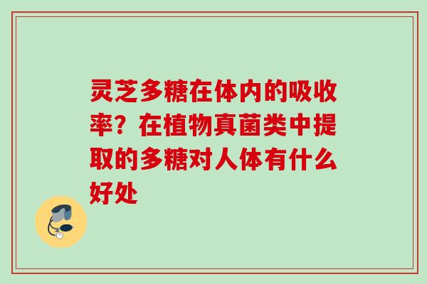 灵芝多糖在体内的吸收率？在植物真菌类中提取的多糖对人体有什么好处