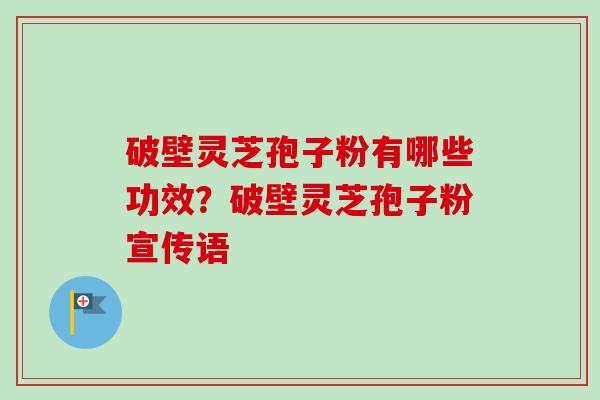 破壁灵芝孢子粉有哪些功效？破壁灵芝孢子粉宣传语