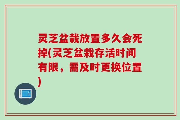 灵芝盆栽放置多久会死掉(灵芝盆栽存活时间有限，需及时更换位置)