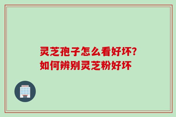 灵芝孢子怎么看好坏？如何辨别灵芝粉好坏