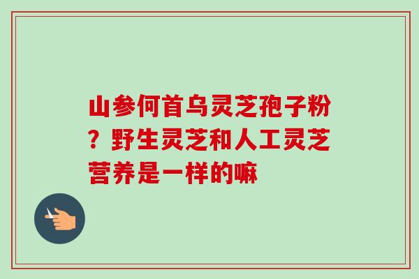 山参何首乌灵芝孢子粉？野生灵芝和人工灵芝营养是一样的嘛