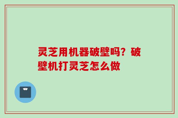 灵芝用机器破壁吗？破壁机打灵芝怎么做