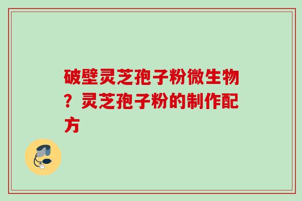 破壁灵芝孢子粉微生物？灵芝孢子粉的制作配方