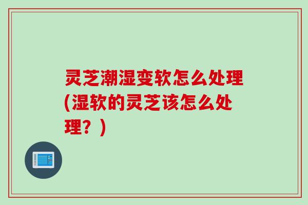 灵芝潮湿变软怎么处理(湿软的灵芝该怎么处理？)