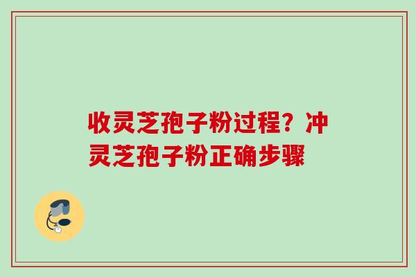 收灵芝孢子粉过程？冲灵芝孢子粉正确步骤