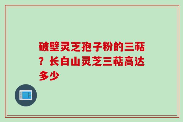 破壁灵芝孢子粉的三萜？长白山灵芝三萜高达多少