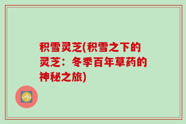 积雪灵芝(积雪之下的灵芝：冬季百年草药的神秘之旅)