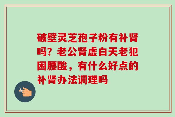 破壁灵芝孢子粉有补肾吗？老公肾虚白天老犯困腰酸，有什么好点的补肾办法调理吗