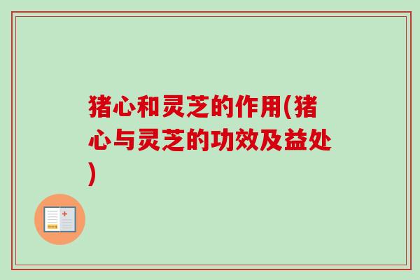 猪心和灵芝的作用(猪心与灵芝的功效及益处)