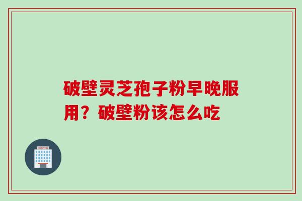 破壁灵芝孢子粉早晚服用？破壁粉该怎么吃