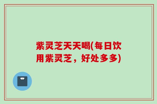 紫灵芝天天喝(每日饮用紫灵芝，好处多多)