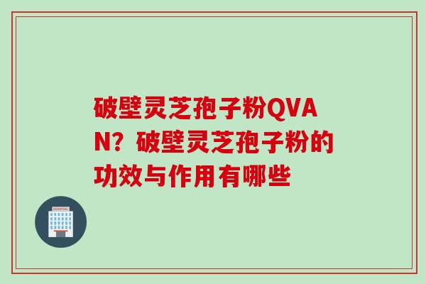 破壁灵芝孢子粉QVAN？破壁灵芝孢子粉的功效与作用有哪些