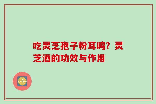 吃灵芝孢子粉耳鸣？灵芝酒的功效与作用