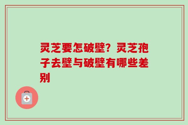 灵芝要怎破壁？灵芝孢子去壁与破壁有哪些差别