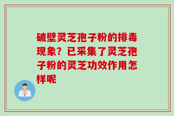 破壁灵芝孢子粉的排毒现象？已采集了灵芝孢子粉的灵芝功效作用怎样呢