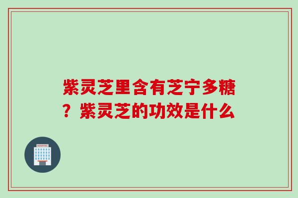 紫灵芝里含有芝宁多糖？紫灵芝的功效是什么