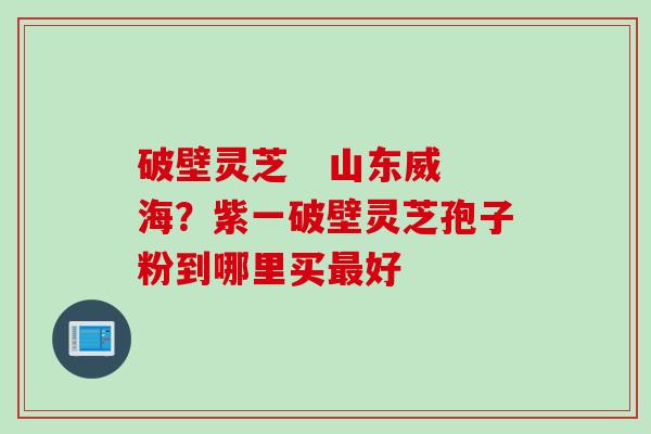 破壁灵芝   山东威海？紫一破壁灵芝孢子粉到哪里买最好