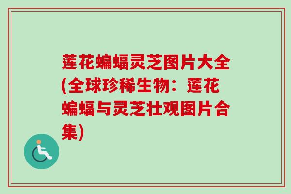 莲花蝙蝠灵芝图片大全(全球珍稀生物：莲花蝙蝠与灵芝壮观图片合集)