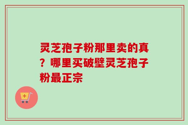 灵芝孢子粉那里卖的真？哪里买破壁灵芝孢子粉正宗
