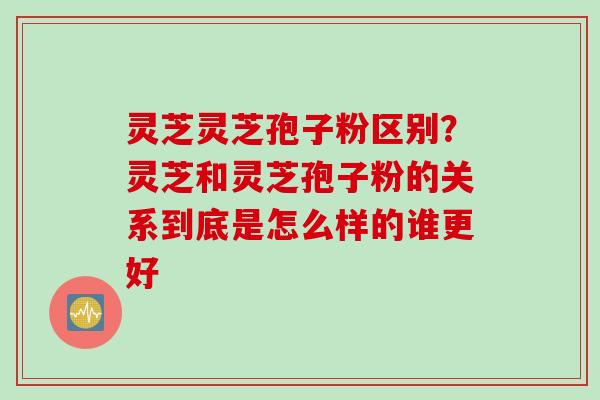 灵芝灵芝孢子粉区别？灵芝和灵芝孢子粉的关系到底是怎么样的谁更好