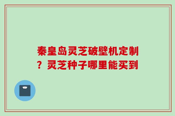 秦皇岛灵芝破壁机定制？灵芝种子哪里能买到