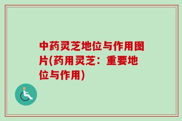 灵芝地位与作用图片(药用灵芝:重要地位与作用) 灵芝地位与作用图片(药用灵芝:重要地位与作用)